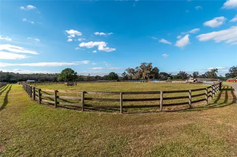 Other - 5100 W Hwy 329, Reddick, FL 32686 photo 12 of 14