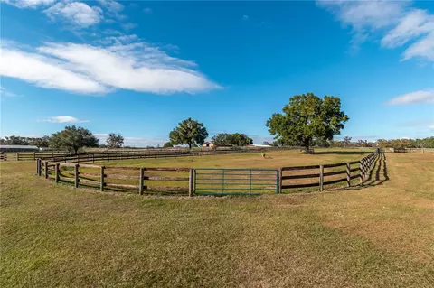 Other - 5100 W Hwy 329, Reddick, FL 32686 photo 9 of 14