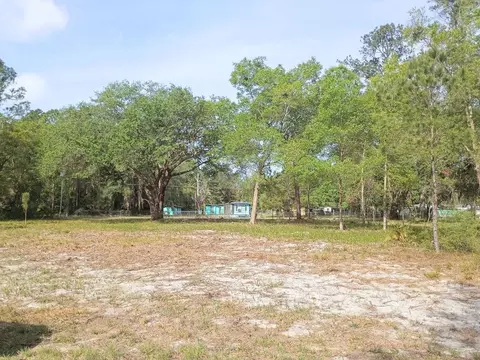 Ne 141st Ct, Fort Mc Coy, FL 32134