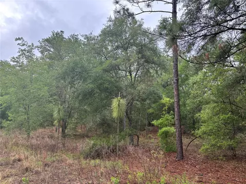 0000 SW 19th Pl, Ocala, FL 34481