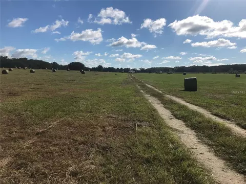 tbd NW 133rd, Reddick, FL 32686 photo 2