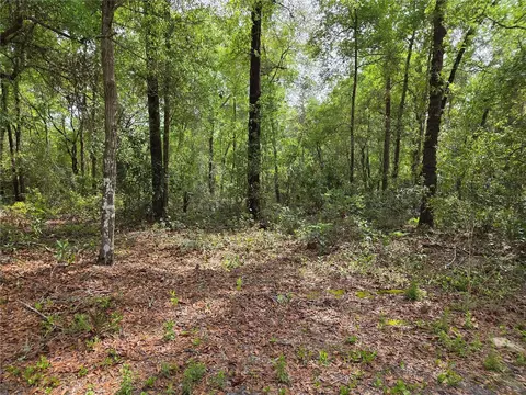 tbd NW 97th Ct, Chiefland, FL 32626