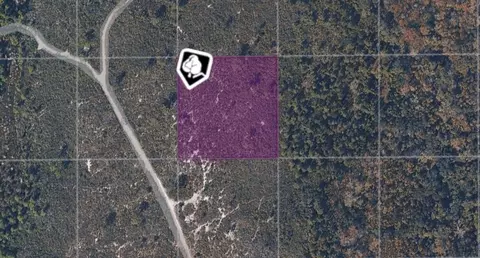 tbd County Rd, Oak Hill, FL 32759