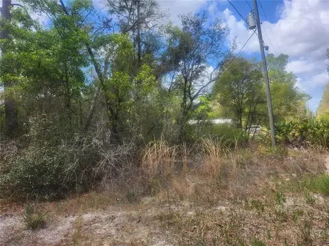 tbd NE 236 Ln, Orange Springs, FL 32182
