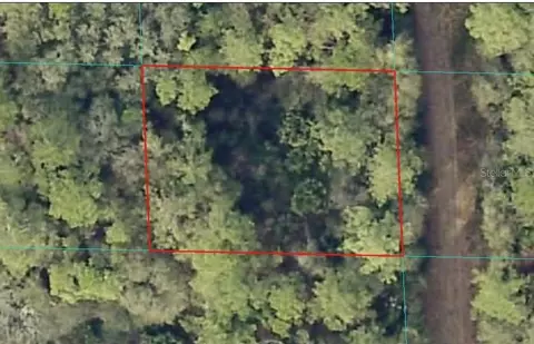 00 NE 66th Ct, Citra, FL 32113
