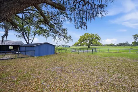18850 SE 12th Ln, Williston, FL 32696 photo 34