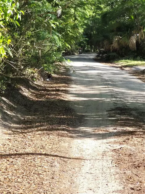 Sw 153rd Lane, Dunnellon, FL 34432