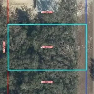 NW 100, Chiefland, FL 32626