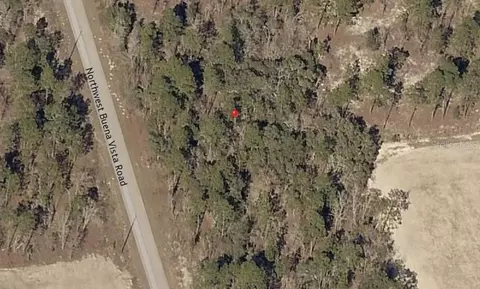 lot13 NW Buena Vista Rd, Dunnellon, FL 34431