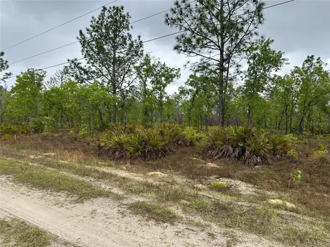 Sw 95th Pl, Dunnellon, FL 34432