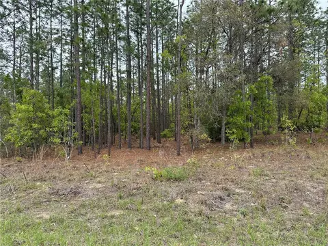Sw 125th Court Rd, Dunnellon, FL 34432