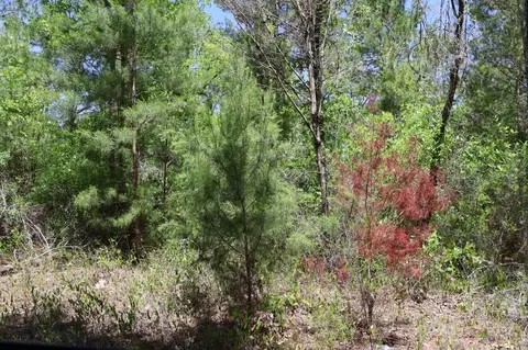 tbd SW 157th Ln, Dunnellon, FL 34432