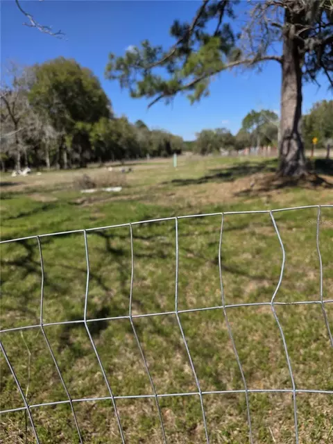 Other - 5950 NE Highway 41, Williston, FL 32696 photo 5 of 8