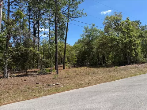 lot2 SW 206 Ave, Dunnellon, FL 34431