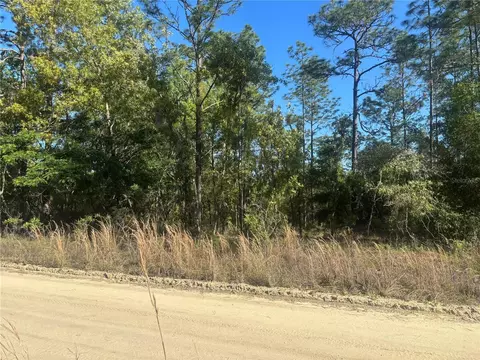 0000 SW 8th Pl, Ocala, FL 34481 photo 3