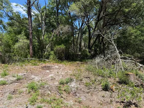 Fischer Lane Court, Ocklawaha, FL 32179