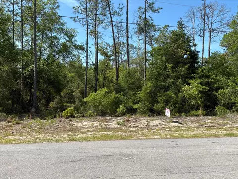tbd SW Anchor Blvd #20, Dunnellon, FL 34431