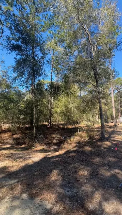tbd SW 22nd Pl, Ocala, FL 34474 photo 2