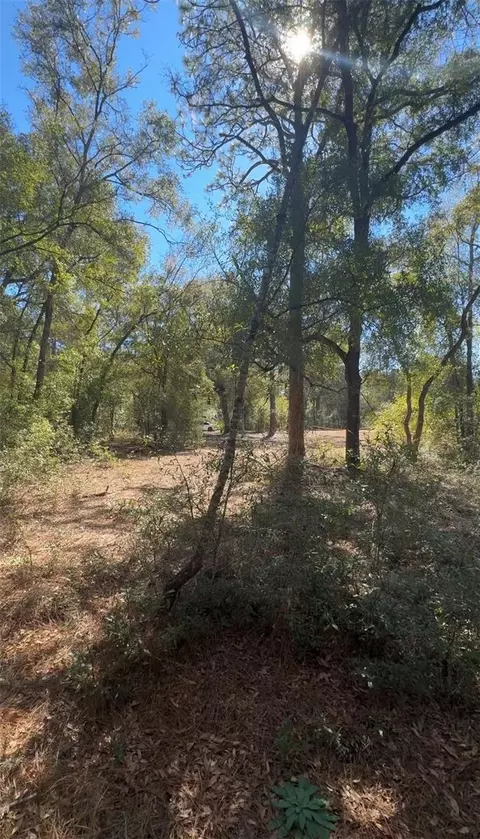 tbd SW 22nd Pl, Ocala, FL 34474 photo 3