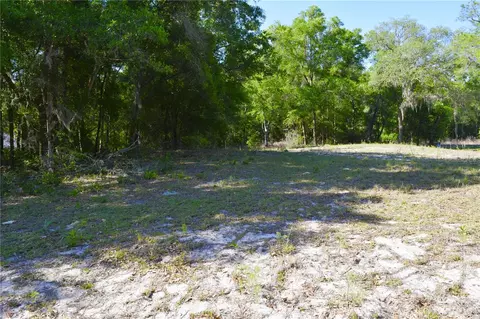 tbd SW 34 St, Ocala, FL 34481 photo 3