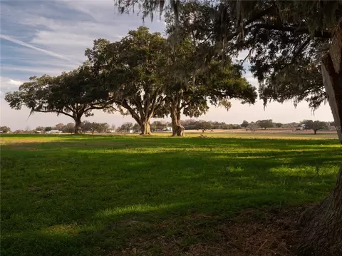tbd NW Gainesville Rd, Reddick, FL 32686 photo 5