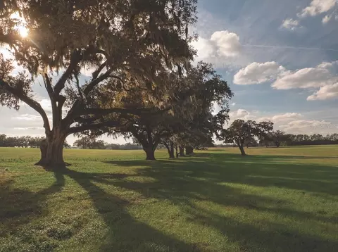 tbd NW Gainesville Rd, Reddick, FL 32686