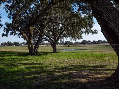 tbd NW Gainesville Rd, Reddick, FL 32686 photo 9