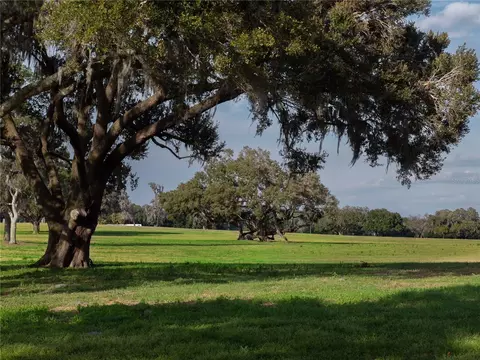 tbd NW Gainesville Rd, Reddick, FL 32686 photo 8