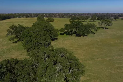 tbd NW Gainesville Rd, Reddick, FL 32686 photo 4
