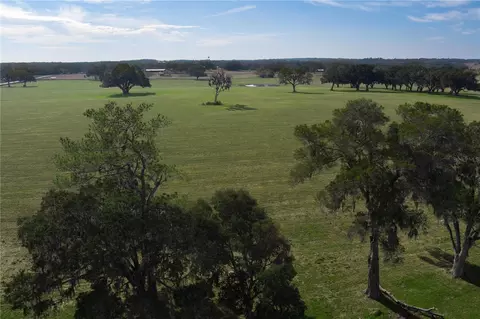 tbd NW Gainesville Rd, Reddick, FL 32686 photo 3