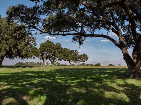 tbd NW Gainesville Rd, Reddick, FL 32686 photo 6