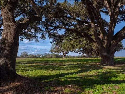 tbd NW Gainesville Rd, Reddick, FL 32686 photo 7