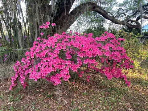 Exterior - 825 SE 13th St, Ocala, FL 34471 photo 7 of 8