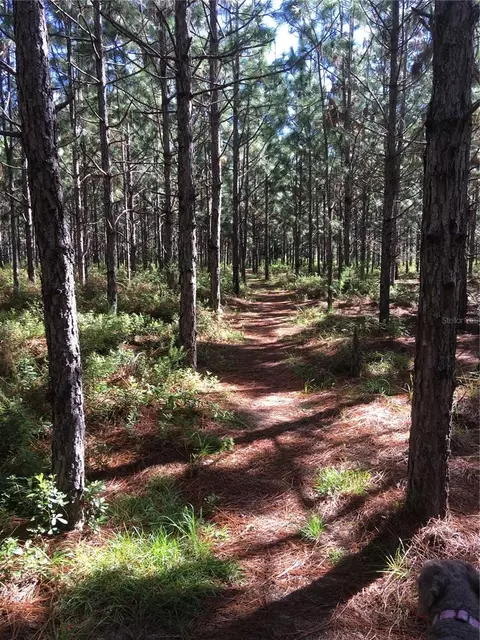 Other - 1069 SE 57th Ave, Ocala, FL 34480 photo 11 of 13