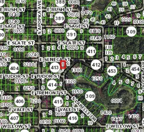 6376 E Seneca St, Inverness, FL 34452