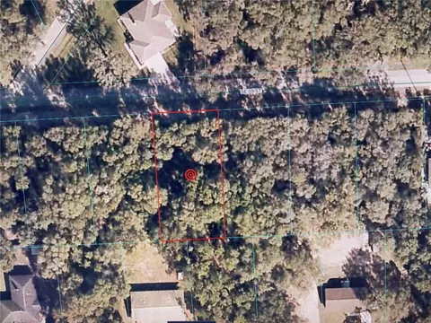 16604 SE 59th St, Ocklawaha, FL 32179