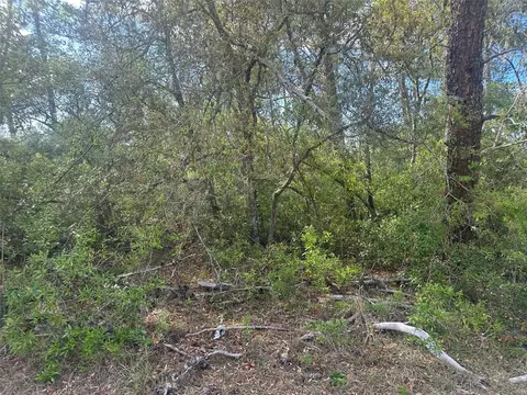 lot6 SW 170th Pl, Ocala, FL 34473