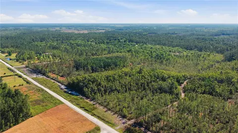 tbd NE 125th Ave, Fort Mc Coy, FL 32134