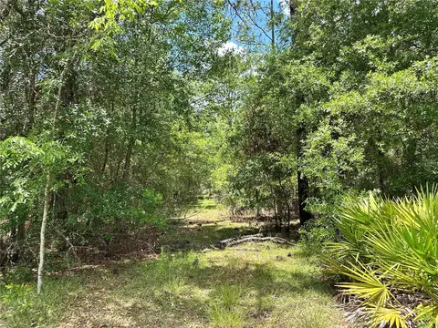 13070 NE 78th Pl, Bronson, FL 32621