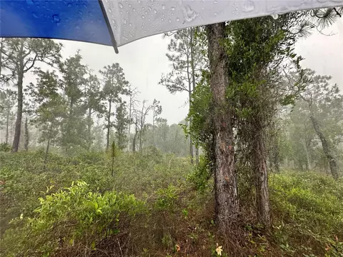 tbd SE 130th Ct, Dunnellon, FL 34431