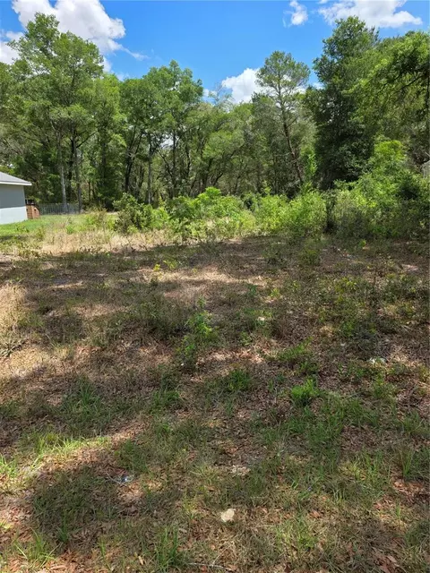 10679 SW 110th Ct, Dunnellon, FL 34432