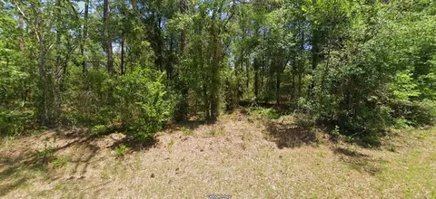 NW Buena Vista Rd, Dunnellon, FL 34431