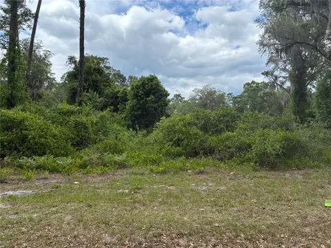 00 SE 87 St, Ocklawaha, FL 32179