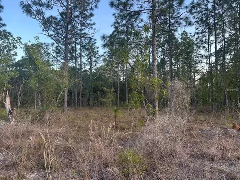 lot3 NW Amberjack Ave, Dunnellon, FL 34431