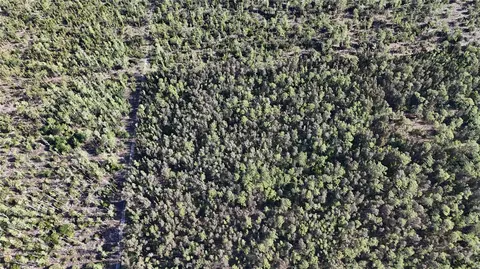 0, Naples, FL 34119 photo 10