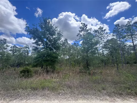 tbd NE 15oth Ct, Williston, FL 32696