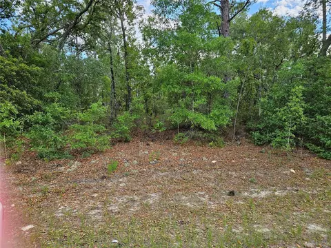 1681 W Skyline Dr, Dunnellon, FL 34434