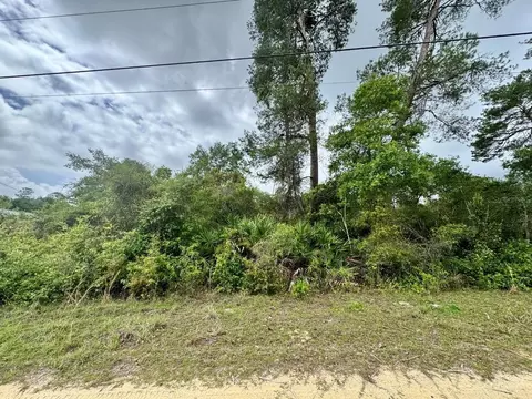 NE 134th Place, Salt Springs, FL 32134
