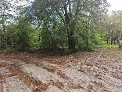 0 SW 90, Dunnellon, FL 34432