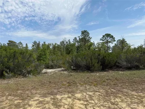 tbd NE 110 Ave, Bronson, FL 32621 photo 5
